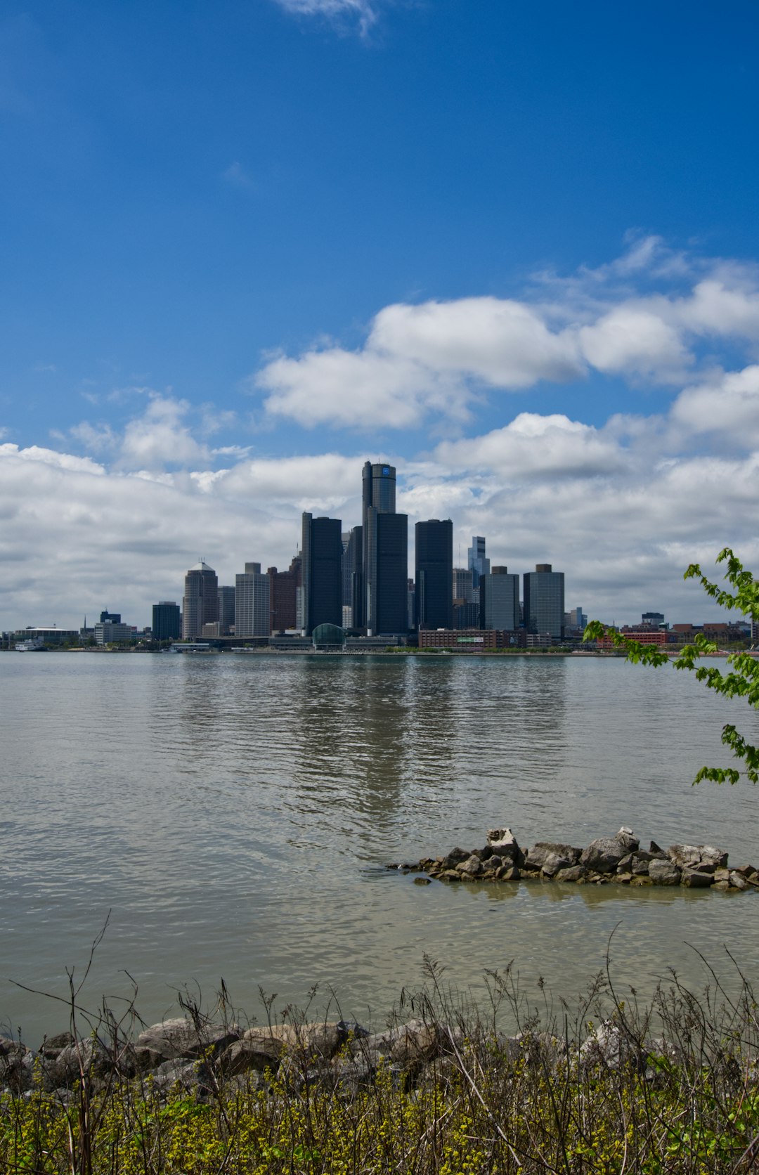 Who Owns the Detroit Lions? Owner, Front Office and History
